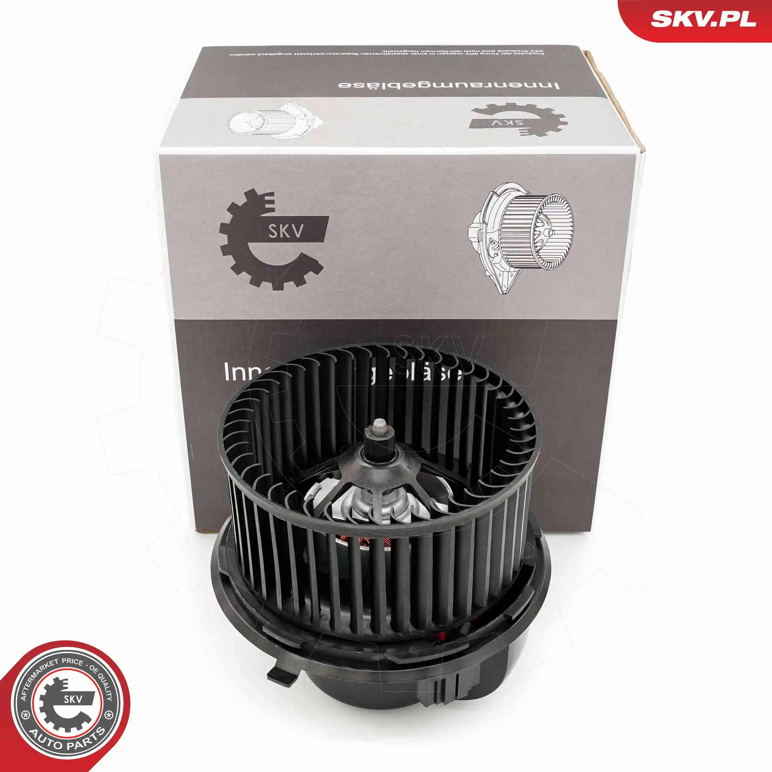 Interior Blower